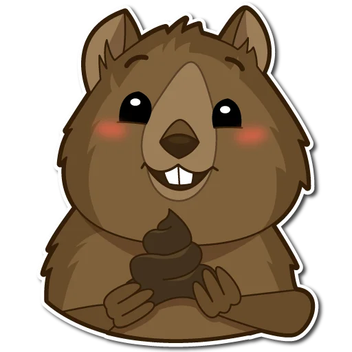 💩 Стикер «Квокка» для Telegram