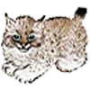 Стикер 7 qamzii