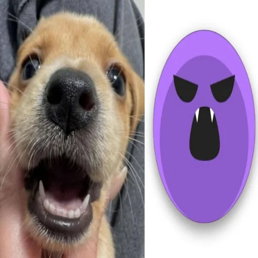 🌟 Стикер «собачка милая» для Telegram