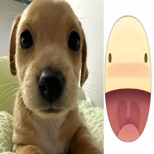 Стикерпак собачка милая для Telegram