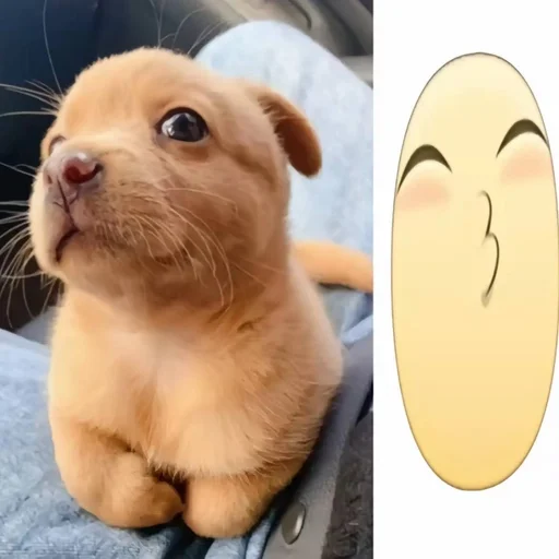 🌟 Стикер «собачка милая» для Telegram
