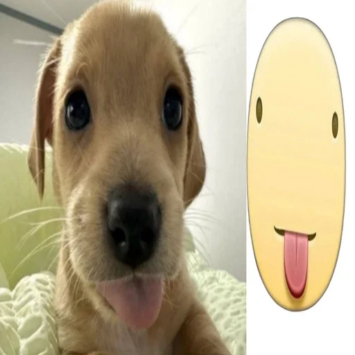 🌟 Стикер «собачка милая» для Telegram