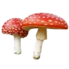 Стикер 59 Dvudushnik