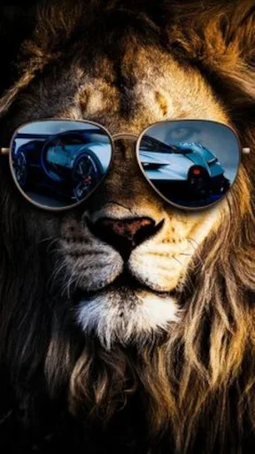 😎 Стикер «Queens and Kings» для Telegram