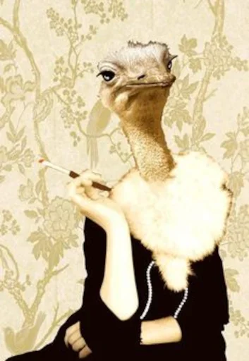 🚬 Стикер «Queens and Kings» для Telegram