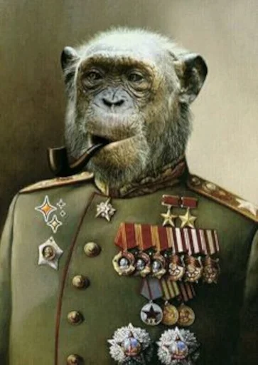 🎖 Стикер «Queens and Kings» для Telegram