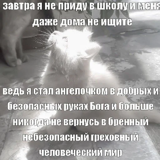 😇 Стикер «цитатный пак» для Telegram