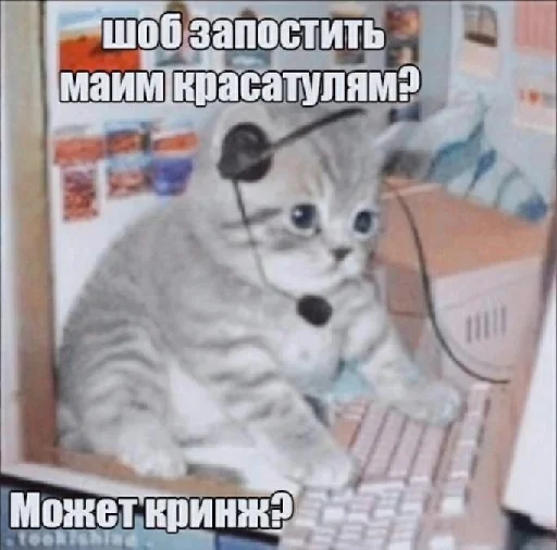 📮 Стикер «цитатный пак» для Telegram