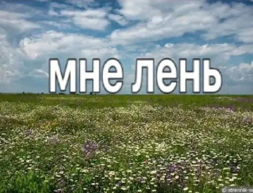 🦥 Стикер «цитатный пак» для Telegram