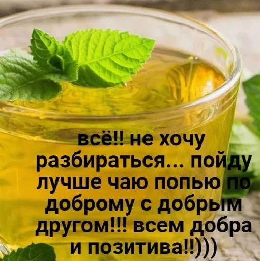 ☕ Стикер «цитатный пак» для Telegram