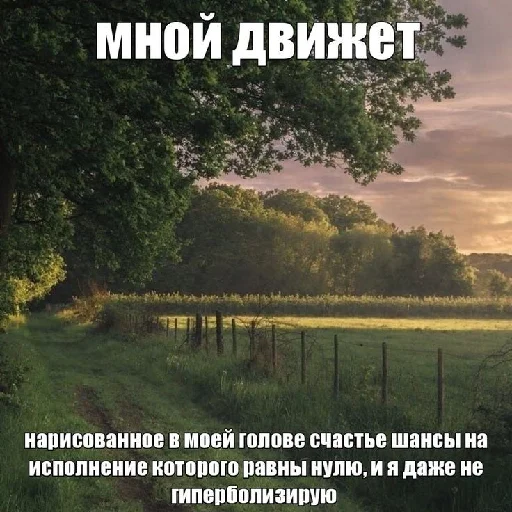 🤑 Стикер «цитатный пак» для Telegram