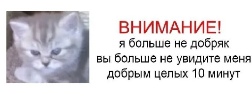 ‼️ Стикер «цитатный пак» для Telegram