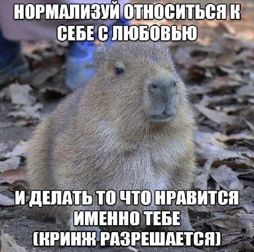 ❤️ Стикер «цитатный пак» для Telegram