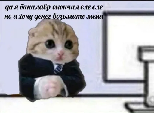 👨‍🎓 Стикер «цитатный пак» для Telegram