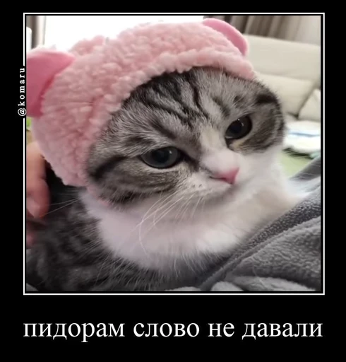 🌟 Стикер «лифамистр» для Telegram