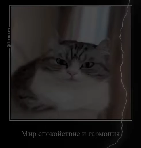 🌟 Стикер «лифамистр» для Telegram