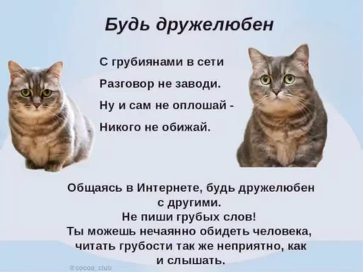 🌟 Стикер «лифамистр» для Telegram