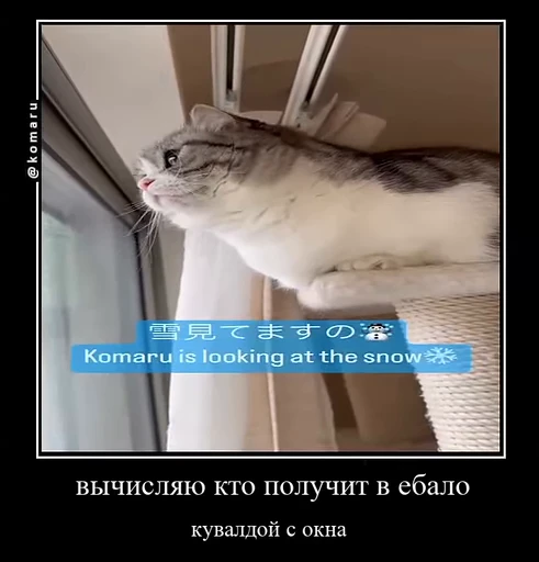 🌟 Стикер «лифамистр» для Telegram
