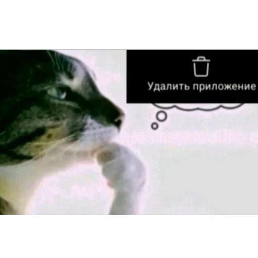 Стикерпак delete this app для Telegram