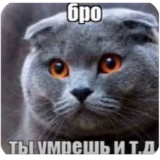 🫥 Стикер «delete this app» для Telegram