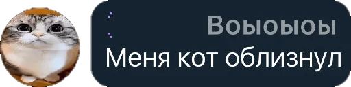 😍 Стикер «Квотли» для Telegram