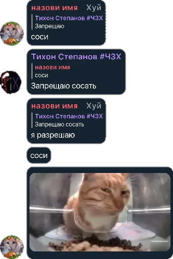 😝 Стикер «Квотли» для Telegram