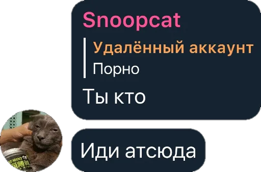🤩 Стикер «Квотли» для Telegram