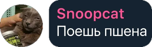 🥸 Стикер «Квотли» для Telegram