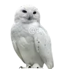 Стикер 18 white - белые эмодзи