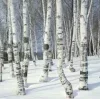 Стикер 61 white - белые эмодзи