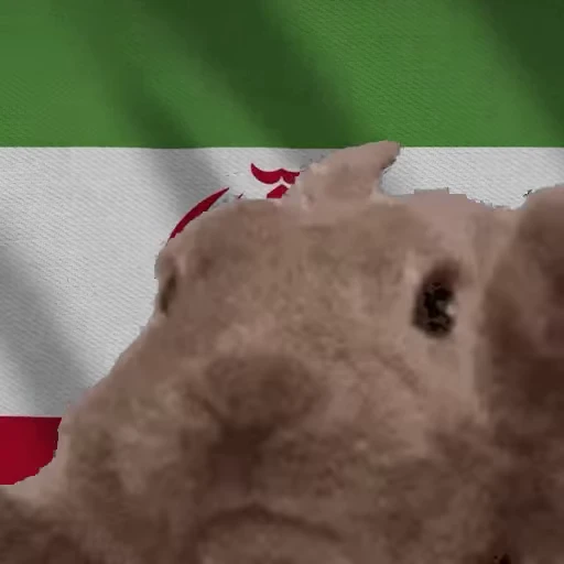 🇮🇷 Стикер «Заяц с флагами» для Telegram