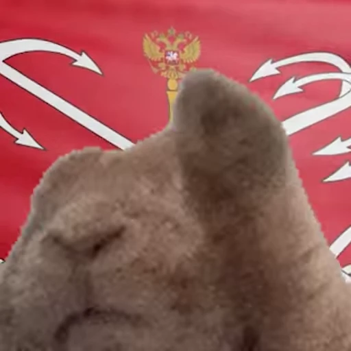 🇷🇺 Стикер «Заяц с флагами» для Telegram