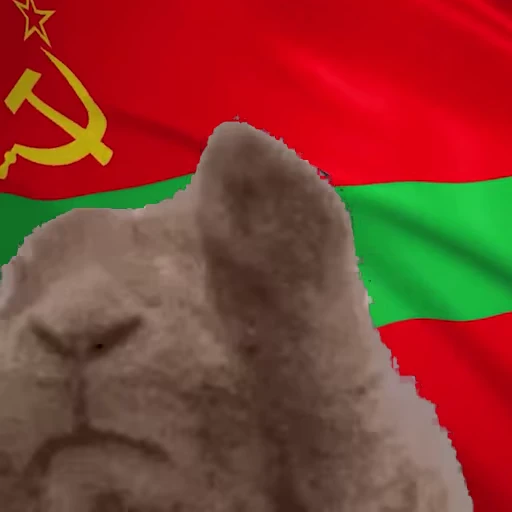 🚩 Стикер «Заяц с флагами» для Telegram