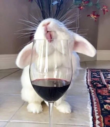 🍷 Стикер «RABBITS» для Telegram