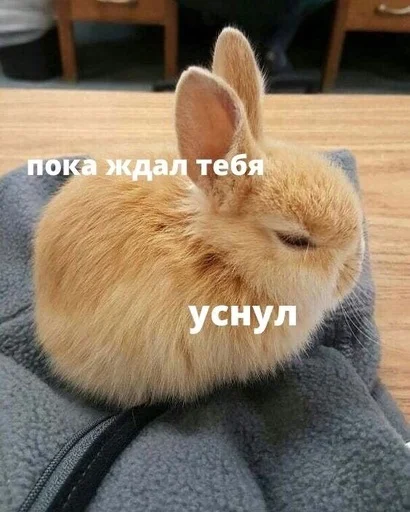 😴 Стикер «RABBITS» для Telegram