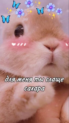 Стикерпак RABBITS для Telegram