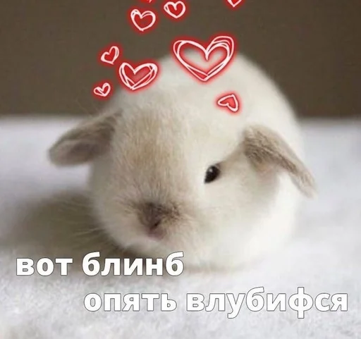 🥰 Стикер «RABBITS» для Telegram