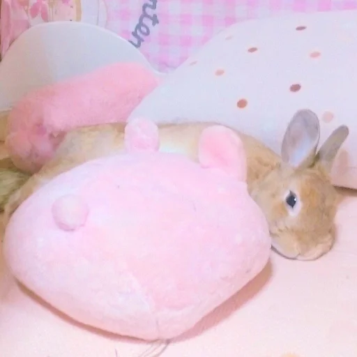 🐰 Стикер «᭝݊sOft rabbit ⵓ ⿴༘͜᭼̣ꪆ» для Telegram