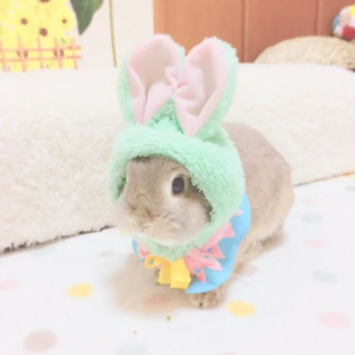 🐰 Стикер «᭝݊sOft rabbit ⵓ ⿴༘͜᭼̣ꪆ» для Telegram