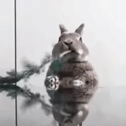 🐇 Стикер «Rabbits» для Telegram