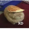 Стикер 10 🤩кроликсы