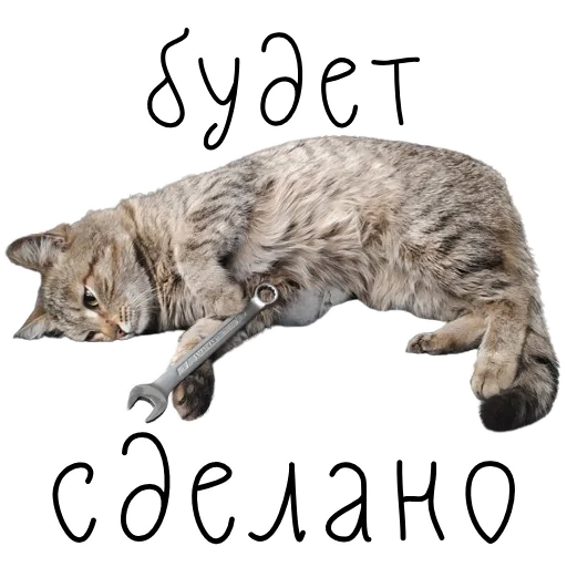 👍 Стикер «коты ишачат на заводе» для Telegram