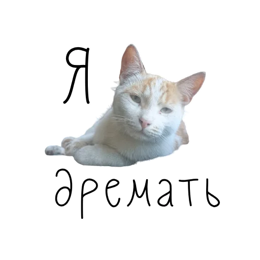 🏠 Стикер «коты ишачат на заводе» для Telegram