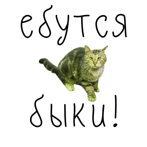 🐃 Стикер «коты ишачат на заводе» для Telegram