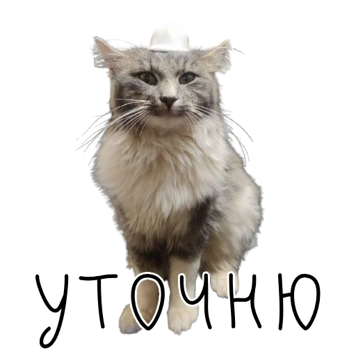 🥸 Стикер «коты ишачат на заводе» для Telegram