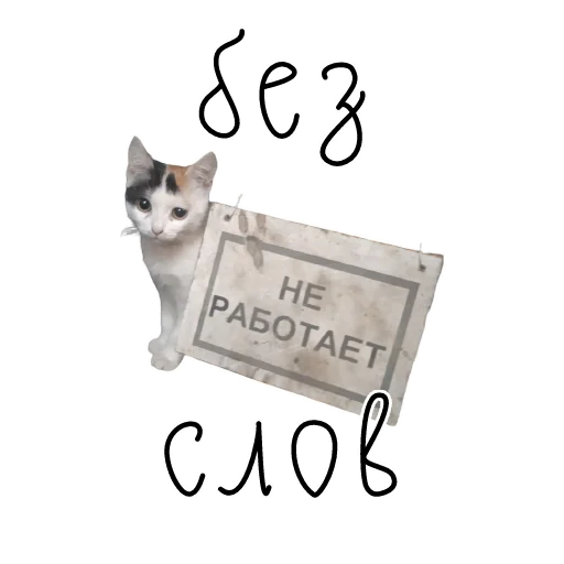 🤐 Стикер «коты ишачат на заводе» для Telegram