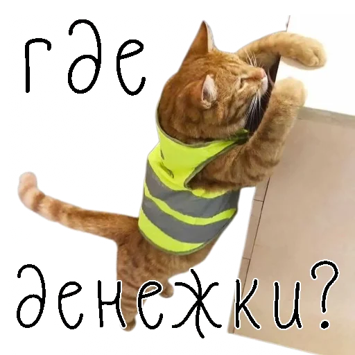 🤑 Стикер «коты ишачат на заводе» для Telegram