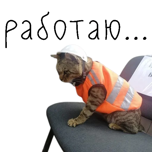 🤑 Стикер «коты ишачат на заводе» для Telegram