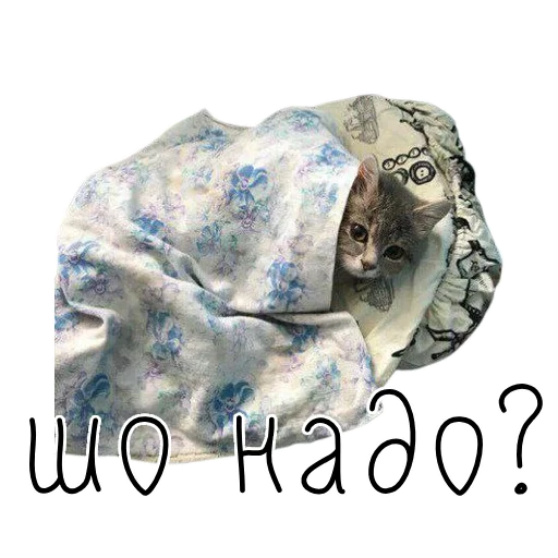 🤔 Стикер «коты ишачат на заводе» для Telegram