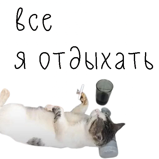 🏝 Стикер «коты ишачат на заводе» для Telegram